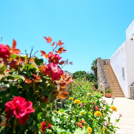 Villa Andromeda Amorgos Exterior photo